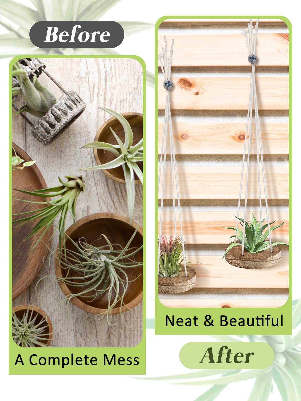 ANPHSIN compact wall-mount air plant holder.