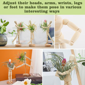 ANPHSIN durable air plant stand with moisture-resistant wood