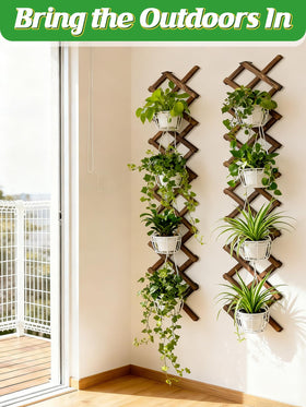 ANPHSIN expandable vertical garden fence, adaptable for indoor or outdoor use