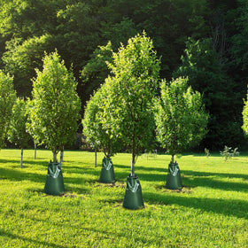 ANPHSIN four-pack tree watering bags being installed around a young tree