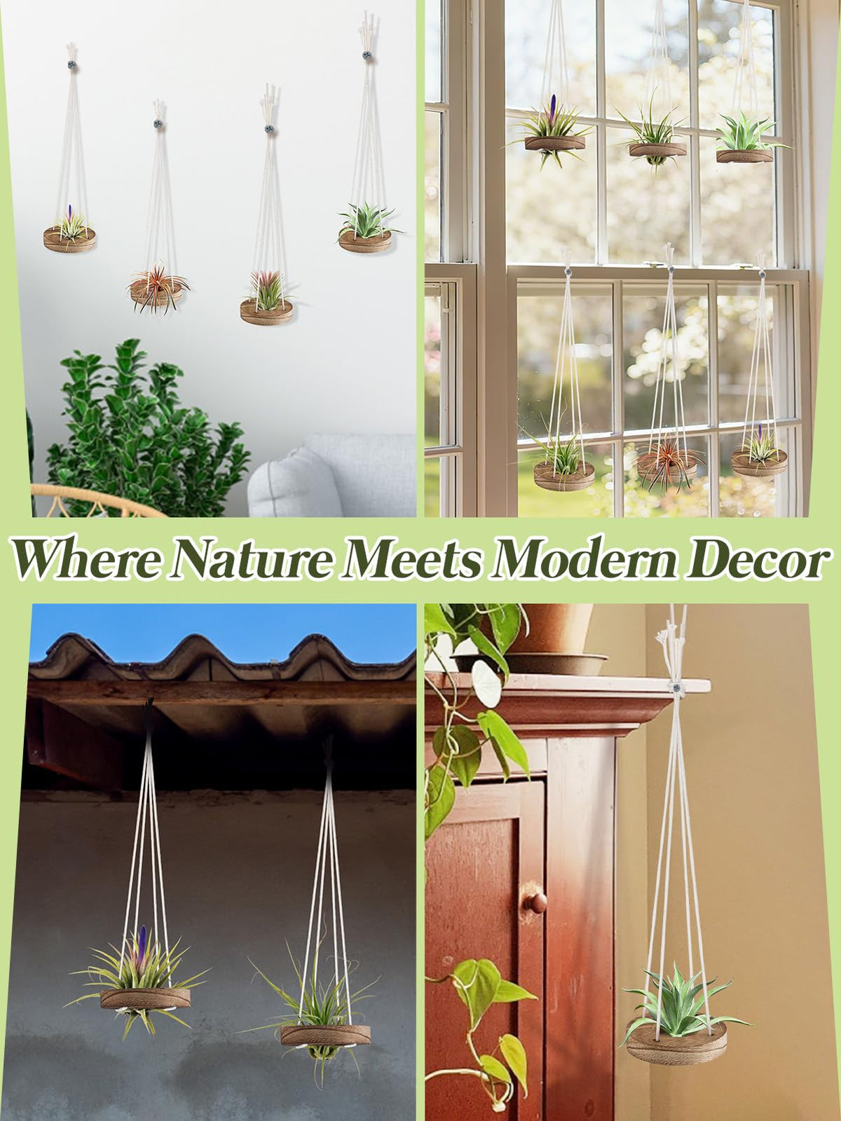 ANPHSIN hanging display for windowsills and cabinets.