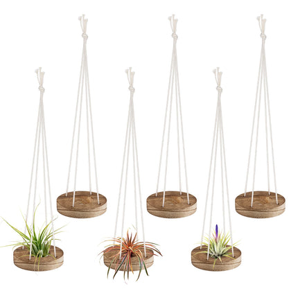 ANPHSIN wooden air plant holder, 3-inch round, ideal for compact home decor.