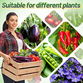 ANPHSIN heavy-duty cage kit suitable for indoor and outdoor garden setups