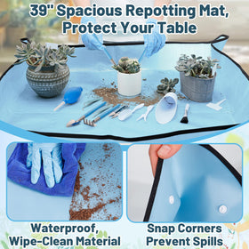 ANPHSIN mini succulent tools for delicate repotting and pruning