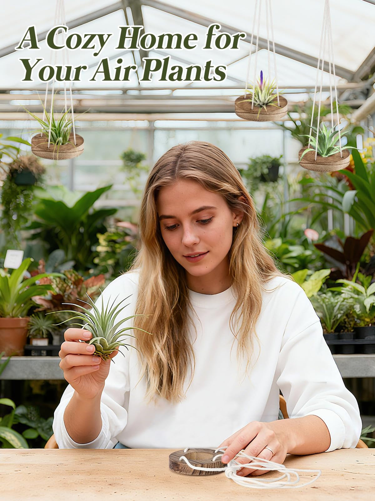 ANPHSIN multi-use planter holder for small succulents.