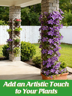 ANPHSIN pack-4 wooden wall trellis extended, creates a tall garden backdrop