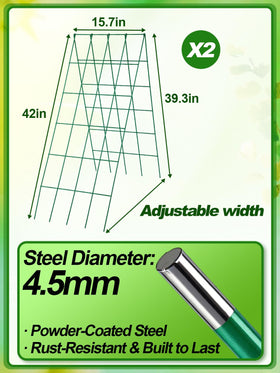 ANPHSIN raised-bed compatible trellis stabilizes vines and improves airflow.