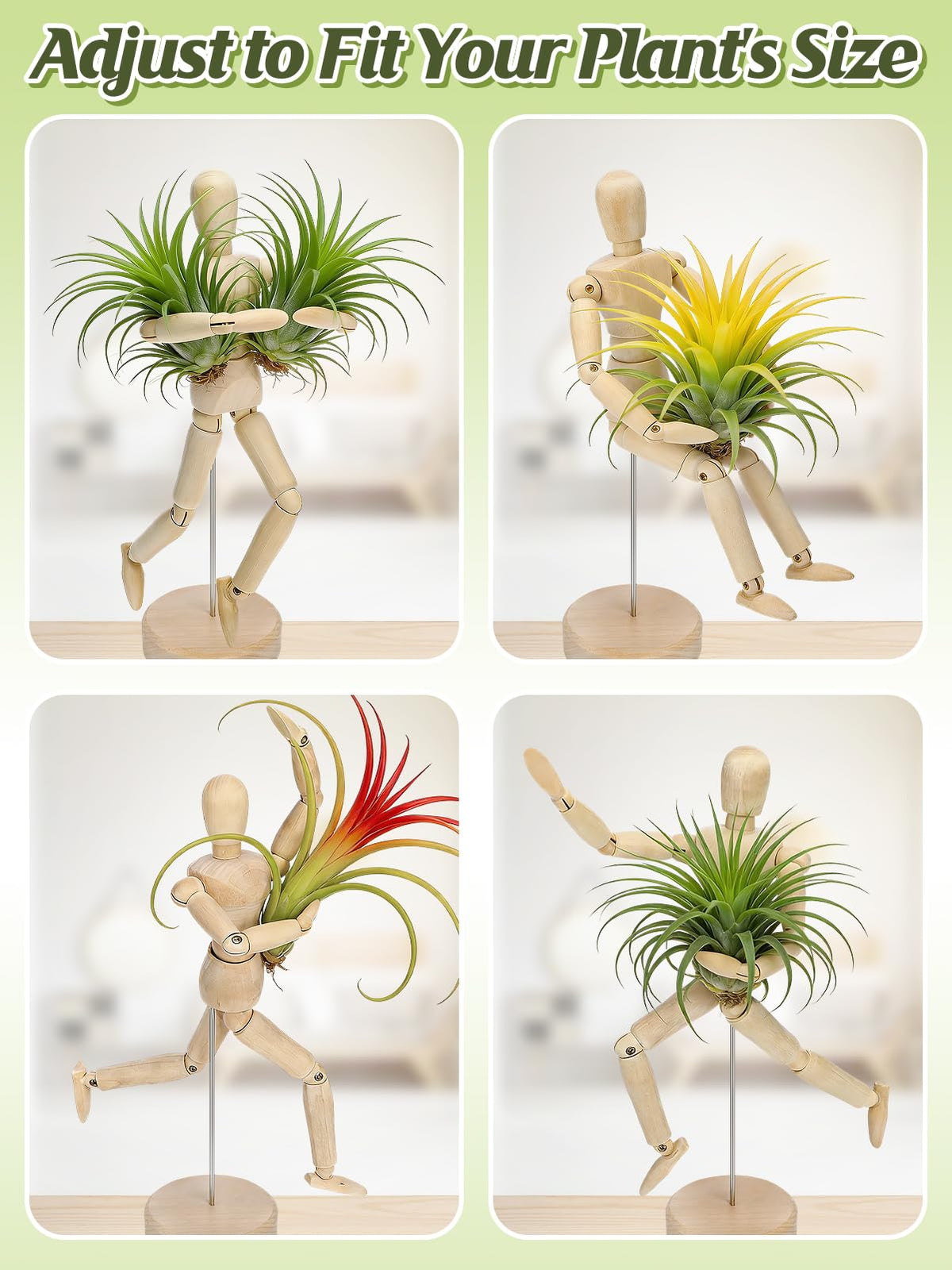 ANPHSIN tabletop air plant display container ideal for desks and shelves