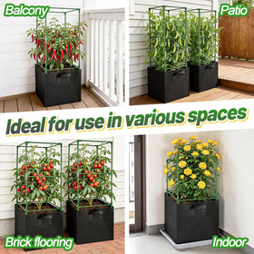 Versatile ANPHSIN system for tomatoes, peppers, cucumbers and more