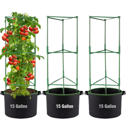 ANPHSIN triangle tomato cage kit offers sturdy vertical support for climbing plants