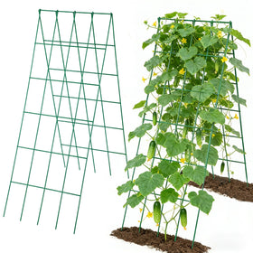 ANPHSIN two-set cucumber trellis assembly for raised beds, sturdy support for climbing vegetables.
