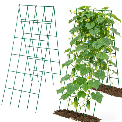 ANPHSIN two-set cucumber trellis assembly for raised beds, sturdy support for climbing vegetables.