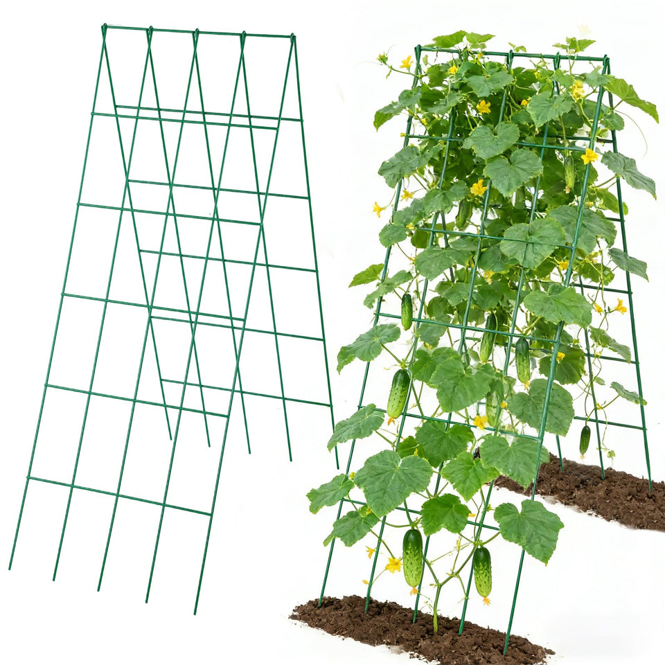 ANPHSIN two-set cucumber trellis assembly for raised beds, sturdy support for climbing vegetables.