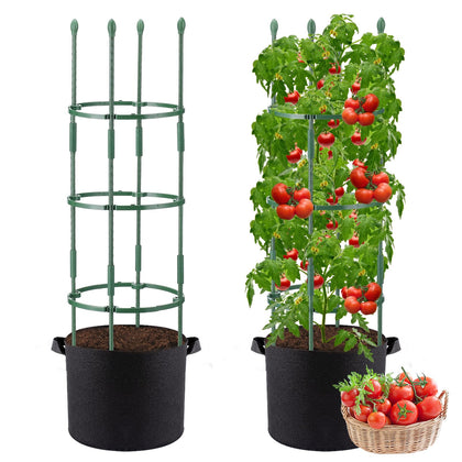 ANPHSIN two-set tomato cage assembly for sturdy plant support