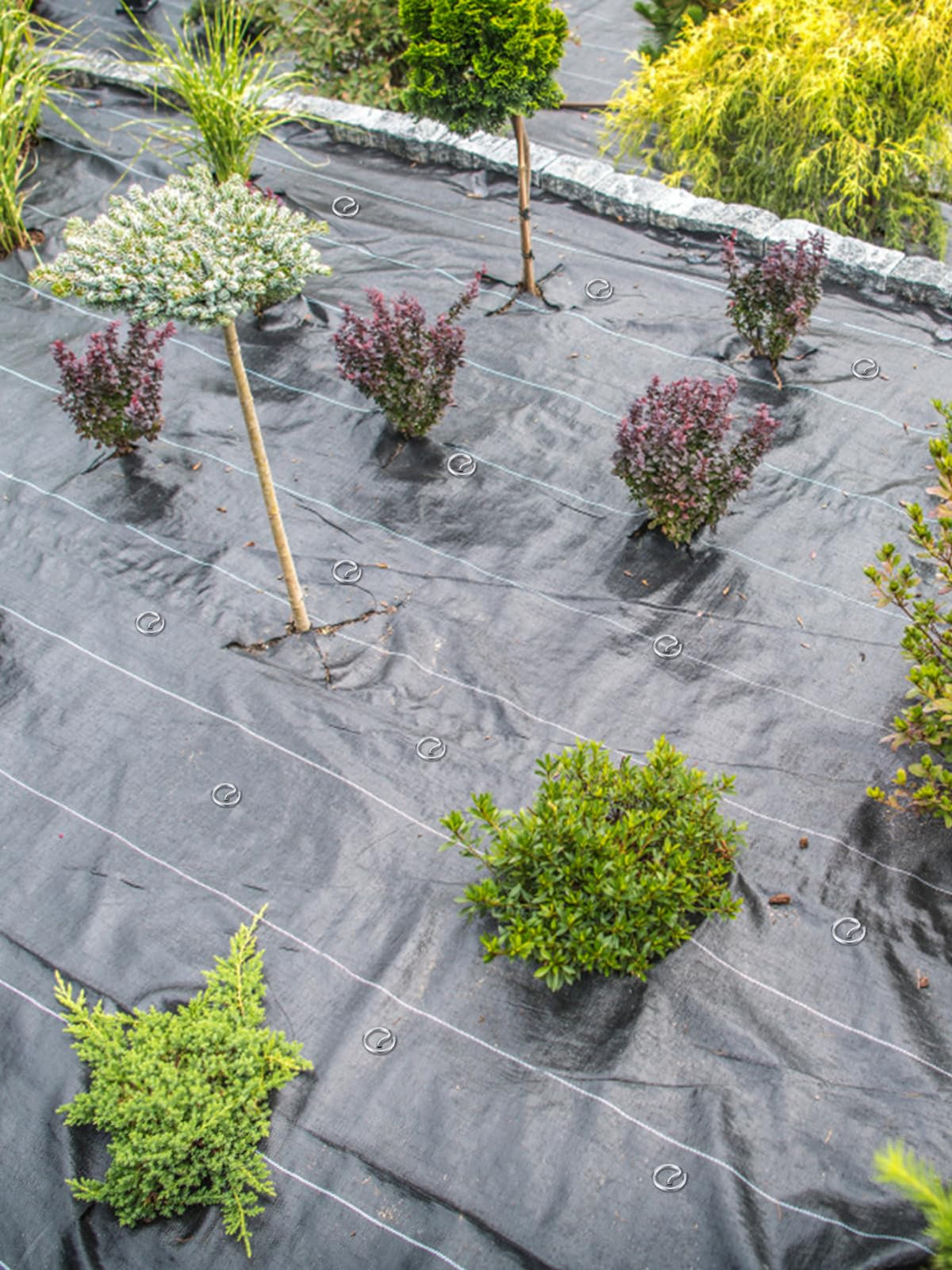 ANPHSIN versatile stakes work with fabric, tarps, turf, weed barriers, and nets