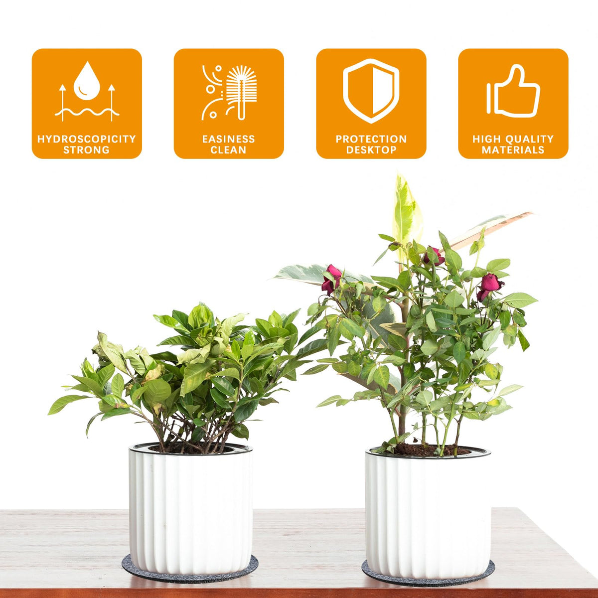 Anpuimult 8-inch fabric coaster soaks up moisture while supporting larger pots