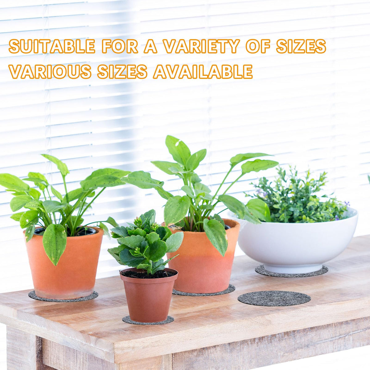 Anpuimult plant coaster set suitable for indoor and outdoor spaces