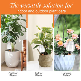 Ansberta decorative globe design enhances plant displays while hydrating