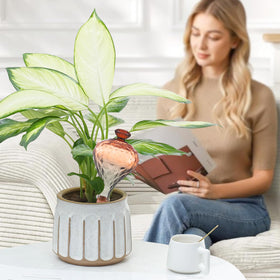 Ansberta durable glass and ceramic construction for long lasting use