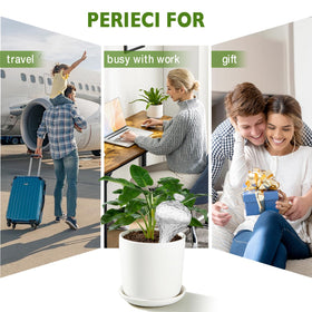 Easy refill globe with dust proof lid for hassle free refills.
