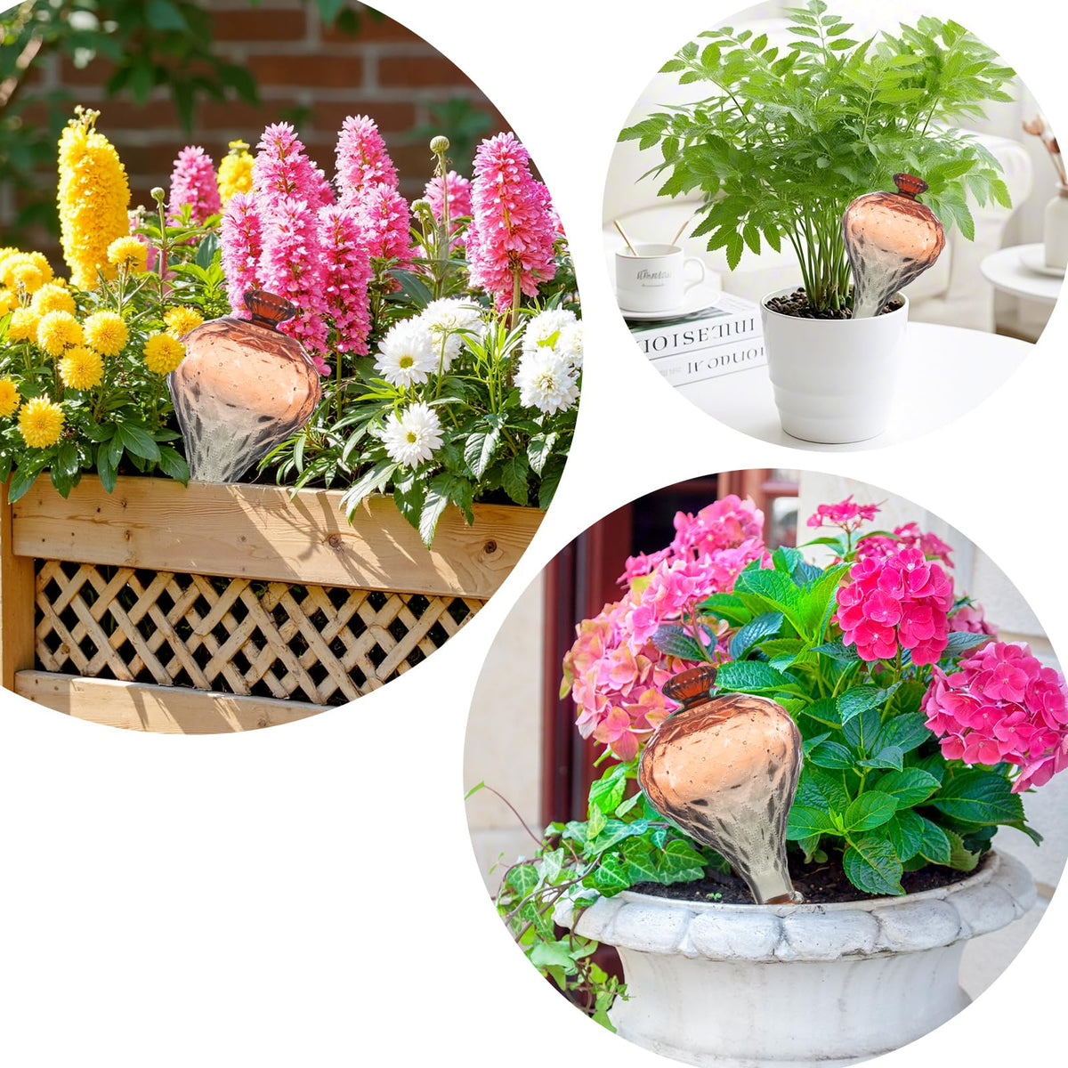 Ansberta elegant durable design suitable as a thoughtful plant care gift