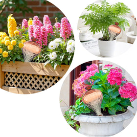 Ansberta elegant durable design suitable as a thoughtful plant care gift