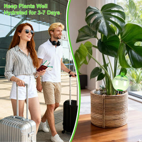 Ansberta gift-for-plant-lovers design adds charm to any space.
