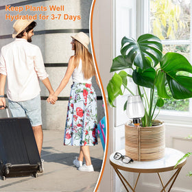 Ansberta gift-ready watering globes add decorative charm to displays