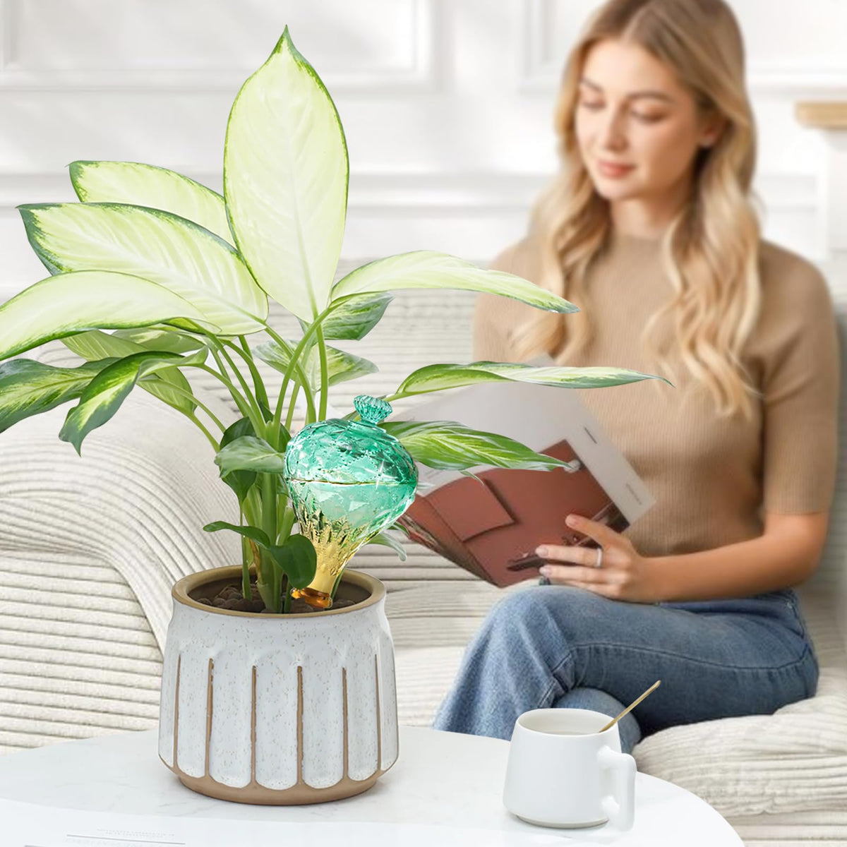 Ansberta plant-care gift idea for friends who love greenery