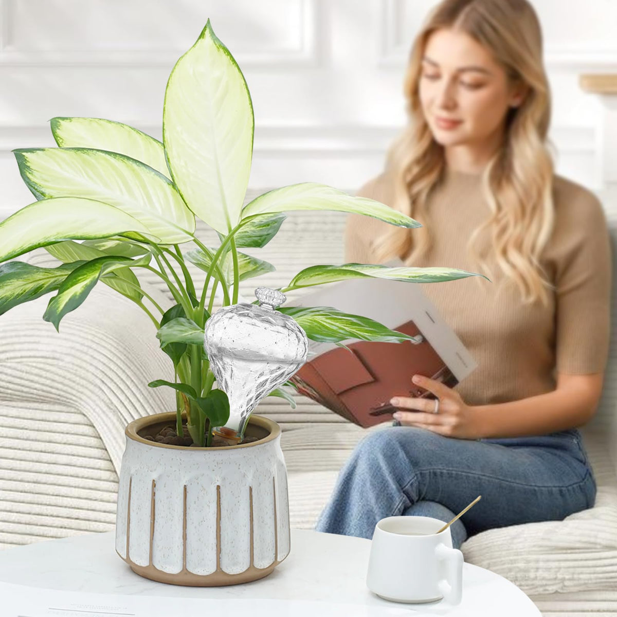Gift ready Ansberta plant care globes ideal for plant lovers.