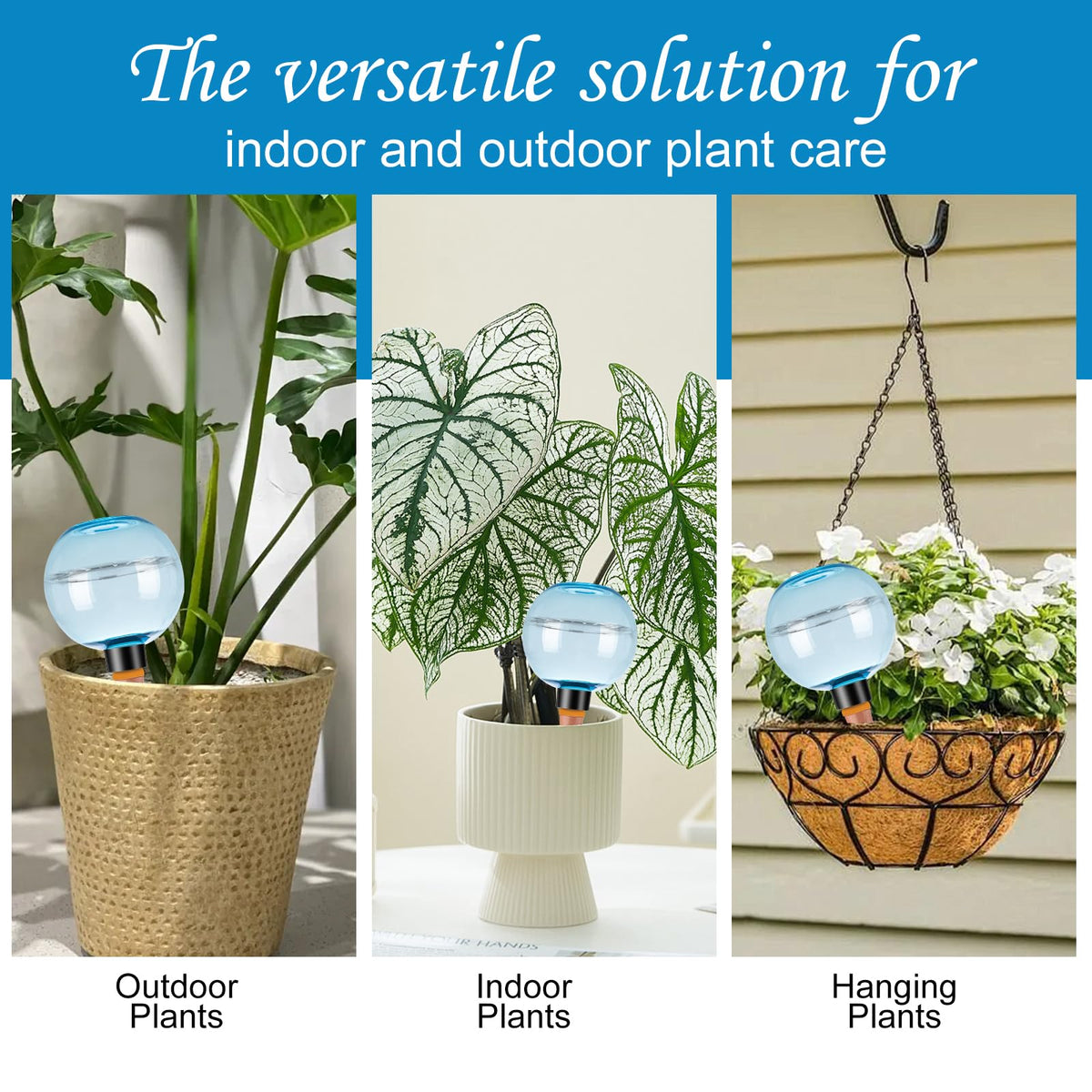 Ansberta gift-ready plant care set for plant lovers