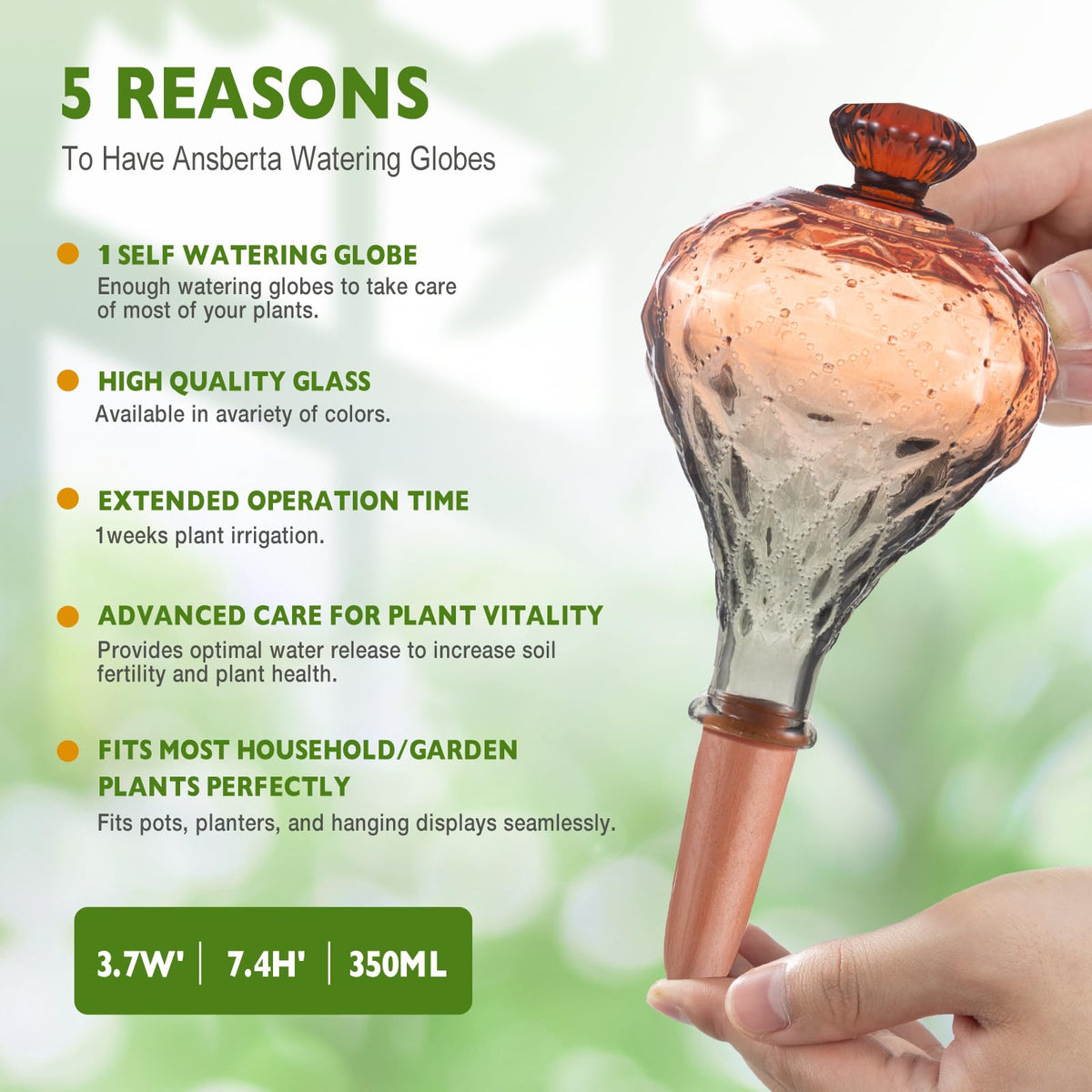 Ansberta glass watering globes for indoor and outdoor plant care