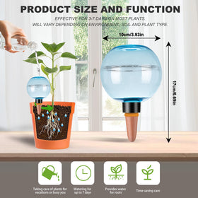 Ansberta globes in a potted plant demonstrating easy, hands-off care