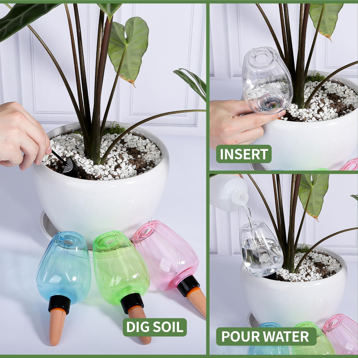 Ansberta clear globes showing indoor and outdoor plant care versatility