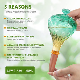 Ansberta top-fill glass bulb with lid enables easy refills and maintenance