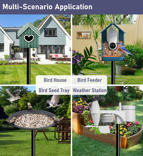 Ansionsol wild bird watching pole enabling close viewing of birds
