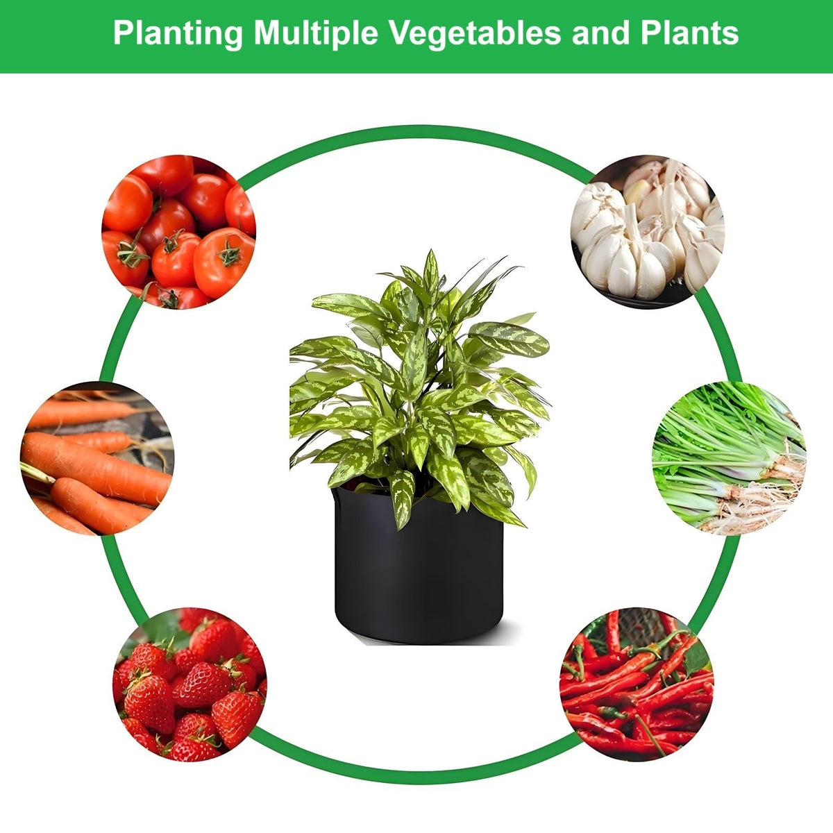 ANSLYQA lightweight portable bag facilitates moving soil and plants around the garden.