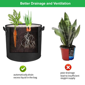 ANSLYQA grow bag filled with vibrant vegetables and greens