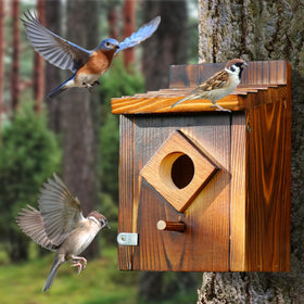 ANSTEEP rod perch design provides perching space for birds