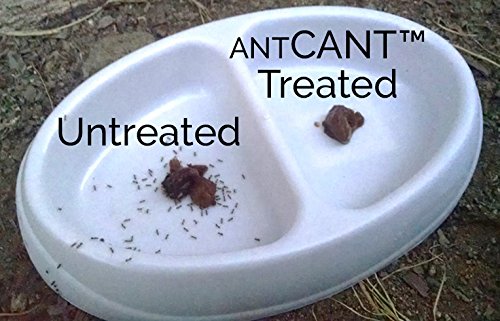 AntCant barrier at windowsill and doorframe deters ant access.