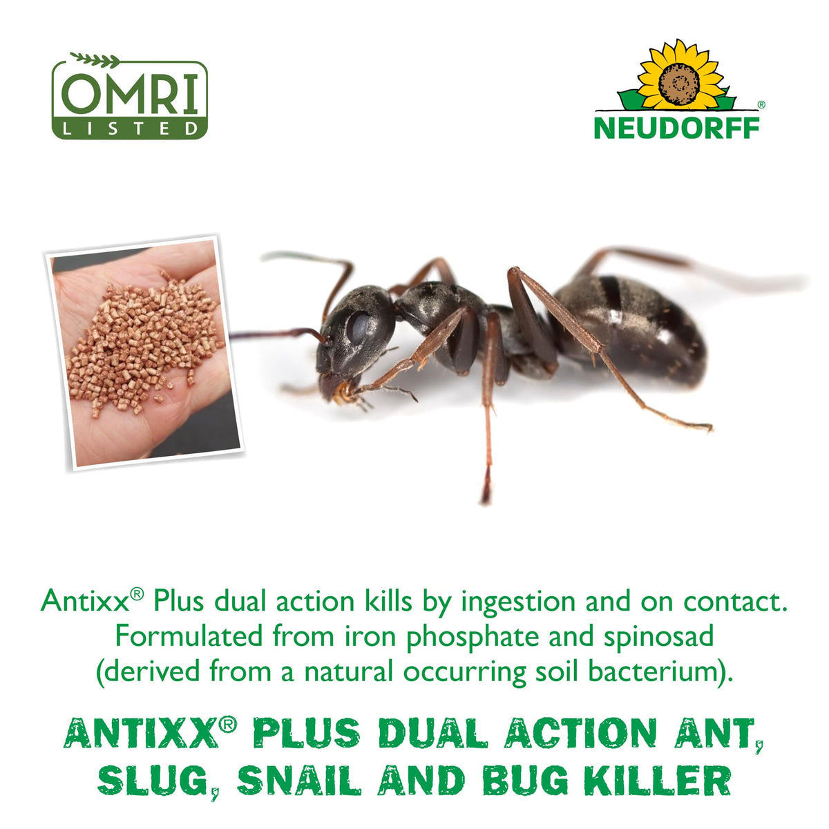 Antixx Plus granules on soil showing easy outdoor use.
