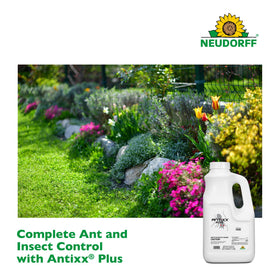 Antixx Plus outdoor garden application keeps turf healthy and pest-free.