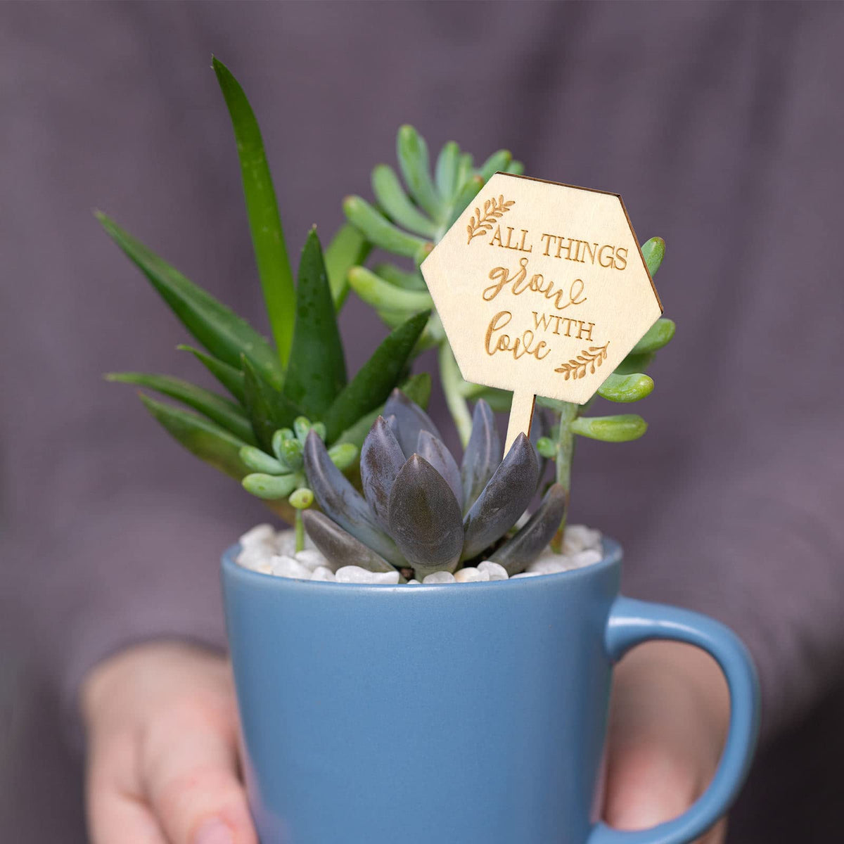 AnyDesign 5 x 9.5 cm label set helps clearly mark succulents