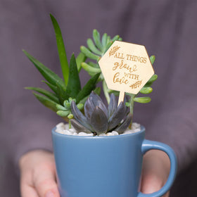 AnyDesign 5 x 9.5 cm label set helps clearly mark succulents
