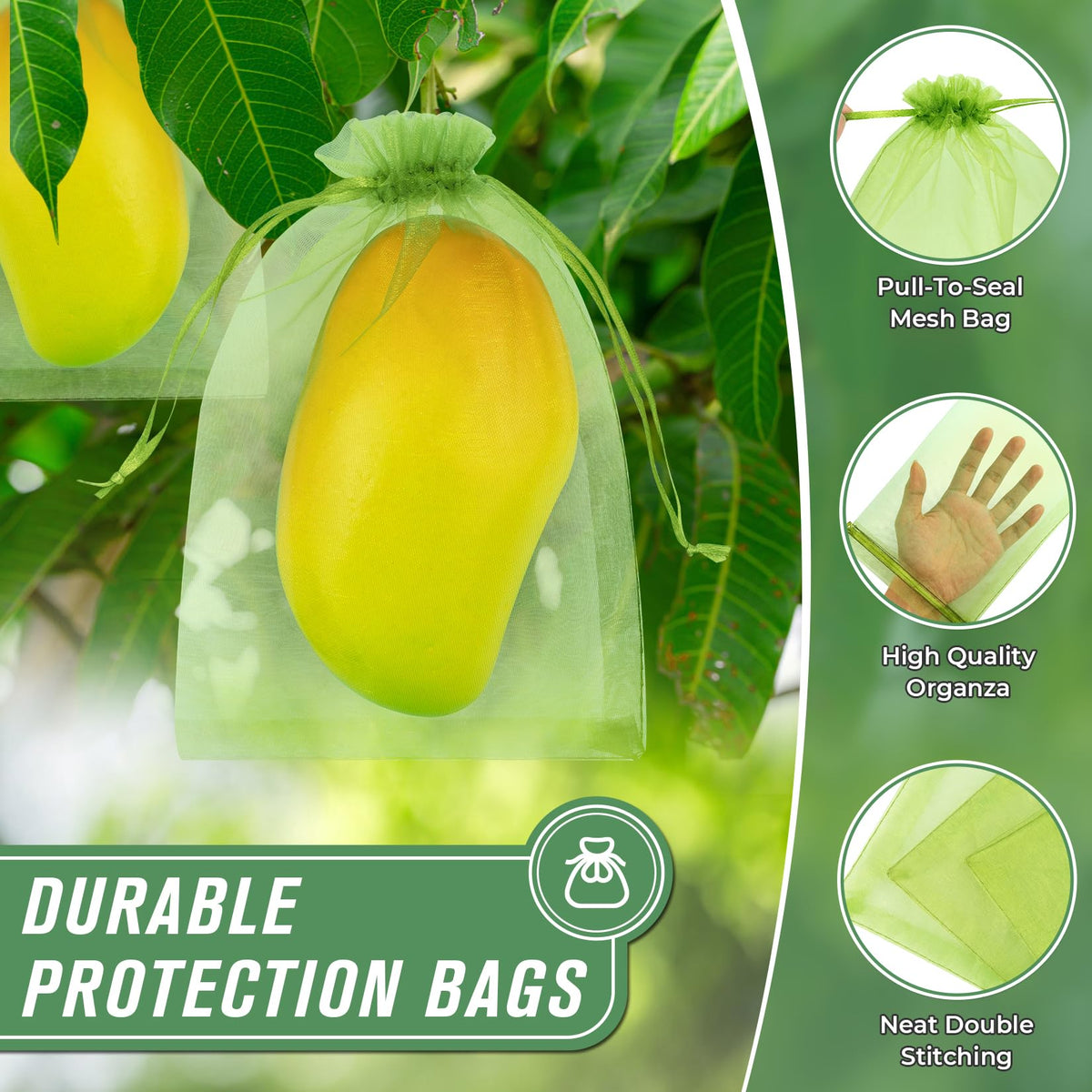 ANZNKU bag protecting an apple, supporting healthy growth.