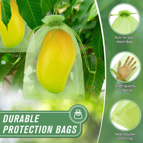 ANZNKU bag protecting an apple, supporting healthy growth.
