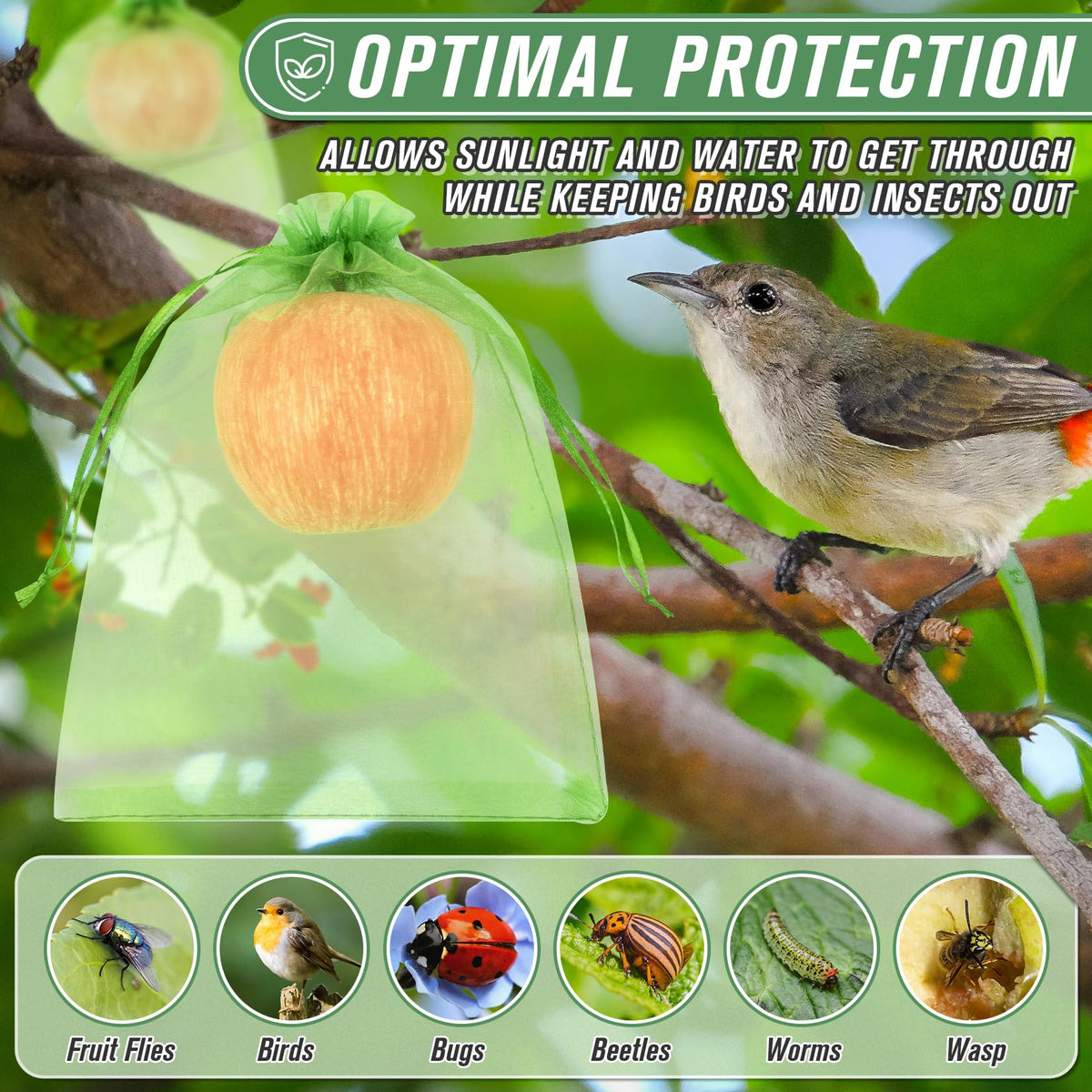 ANZNKU bag over peach, aiding pest defense.