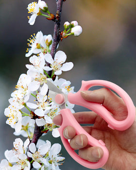 AOBYMIN floral scissors with violet handle for vibrant bouquet prep