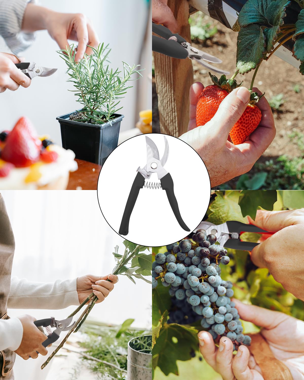 AOBYMIN pruning shears color set in pink, green, blue, and black for easy task labeling.