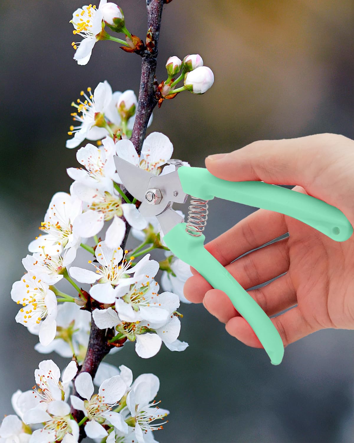 AOBYMIN pruning shears versatility for flowers, shrubs, herbs, and bonsai.